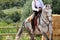 Working equitation horse