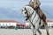 Working equitation horse close up