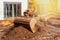 Working excavator shovel moving soil