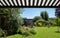 Working from home in London. Rockery in the foreground. Garden studio office room with black and cedar cladding behind.