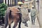 Working horse is carrying the stack of rock for traditional construction industry in China
