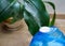 A working humidifier and a home lily on the background. Humidification for home plants