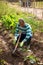 Working Indian with hoePortrait of working Indian with hoe on farm field