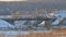 Working locomotive passes through a railway bridge. Winter landscape