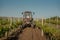 Working machines on the grape field agriculture