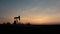 Working oil pumps silhouette against sunrise