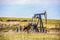 Working pump jack on oil or gas well out in pasture with a herd of cows in the background - selective focus on well