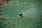 Working Sprinklers for Lawn Irrigation, Moraitika, Corfu, Greece. Small depth of field