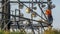 Working Technician up a telecommunications tower