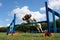 A working type english springer spaniel pet gundog jumping an agility jump