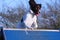 A working type english springer spaniel pet gundog running over an agility a-frame