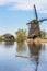 Working vintage windmill in Holland with flock of geese