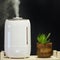 A working white humidifier on a black background next to a houseplant