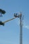 Workman in an hydraulic hoist repairing installation of a high telephonemast