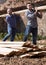 Workmen arranging building timber at farm