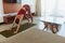 Workout At Home. Woman Stretching On Yoga Mat In Living Room During Social Isolation. Brunette In Sportswear Doing Daily Exercises