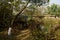 Worksheds by pond in woods at sunny winter noon