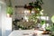 Workspace with plants and table for home gardening. Shelves and tables for plants. Sunset, hard light