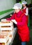 Workwoman packing apricots in boxes