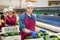 Workwoman sorting and packing ripe avocados in agricultural factory