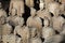 World famous Terracotta Army located in Xian China