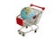World globe in shopping trolley
