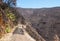 World heritage forests of Madeira terribly destroyed by fires in 2016. Some of trees have enormous will of life and survived this