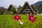 World heritage shirakawago gasshozukuri houses