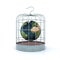 World inside the birdcage