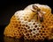 The world of irregular honeycombs is fascinating.