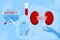 World Kidney day 11 March vector banner.Pyelonephritis disease.Stones,Cystitis in organ.Chronic illness.