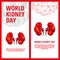 World Kidney Day flyer template. Abstract anatomy organ.