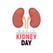 World Kidney Day healthy vector poster. Human kidney health awareness background