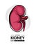 World kidney day with red human kidney outline Drawing sign vector design