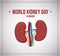 World kidneys day. Vector illustration. Healthy kidney