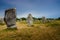 The world longest menhirs alignment is found in Carnac in Brittany