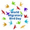 World Migratory bird day
