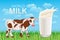 World Milk Day, banner. Spotted cow in the meadow, glass with milk splash and text. Poster, illustration