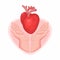 World Organ Donation Day. heart transplantation symbol cartoon illustration vector