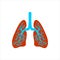 World Peneumonia day. World Tuberculosis Day. Lungs symbol. Breathing. Lunge exercise. Lung cancer asthma, tuberculosis, pneumoni