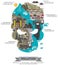 The world of pollution infographic template design in skull shape, create by vector