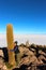 The world`s largest salt flat, Salar de Uyuni Cacti Island