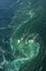 The World`s Most Powerful Tidal Current, the Saltstraumen Maelstrom