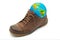 World in shoe