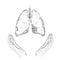 World Tuberculosis Day poster human lungs in hands white background. TB awareness health care medicine center. Medical