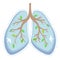 World Tuberculosis Day. World Pneumonia Day. Human lungs. Medical flat illustration. Health care. Tree branches like the lungs.