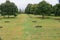 World War 2 German Cemetery in France