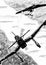 World War 2 vintage aircraft digital drawing.