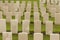 World war one cemetery tyne cot in belgium flanders ypres