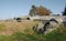 World War One Trenches at Redipuglia